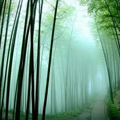 Thanh Tâm Phổ Thiện Chú - Đàn Tranh - 320 Lyrics, Upload Bởi Hoangkien1181