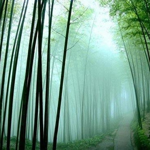 Thanh Tâm Phổ Thiện Chú - Đàn Tranh - 320 Lyrics, Upload Bởi Hoangkien1181