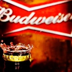 Budweiser Commcercial Voice Over