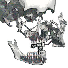 The Laws of Attraction