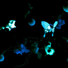 Butterfly Effect ( Preview )