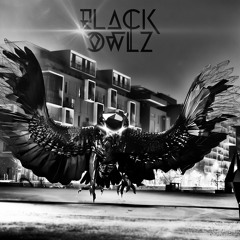 SurvivOwlz (Bl4ck Owlz MASHUP) [FREE DOWNLOAD]