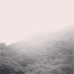 Urubu