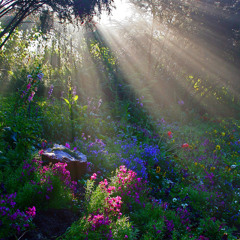 The Ground (Orla Gartland Cover)