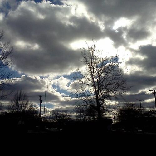 CaliCLOUDS & AlleyCatJOne$- OnNemClouds