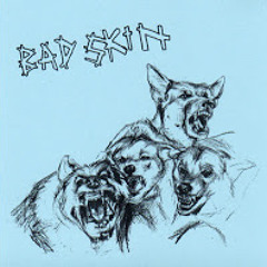 Bad Skin - We're Dogs