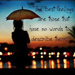 Someday it's gonna make sense - MLTR