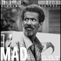 Vision Feat. StrypeZ - MAD!