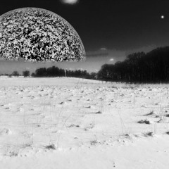 Safe & Sound Me vs Gravity