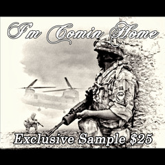 "Mama I'm Coming Home" by Ozzy Osbourne (sample beat) $25