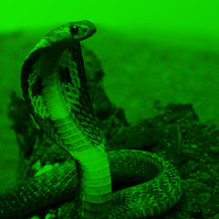 Syreregn (feat. Naim Abedval)