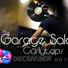 Garage Sale December 2013