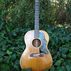 Sunset on the Ridge [transition]