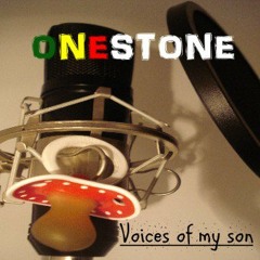 I see.............Album Voices of my son 1