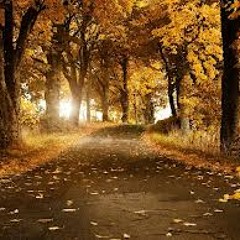 VALS DE OTOÑO