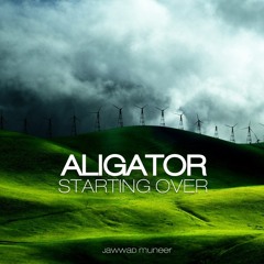 DJ Aligator - Starting Over (Original Mix Rip)
