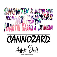 Showtek, Justin Prime, Matthew Koma, Bassjackers, Martin Garrix - Cannozard (Artur Davis Mashup V2)