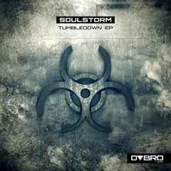 Soulstorm-Tumbledown ( DABROMUSIC )