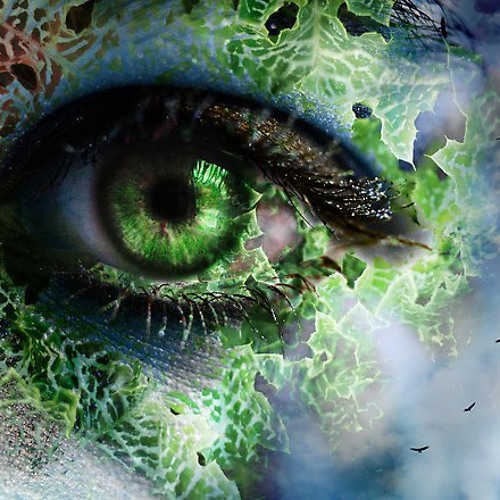 ProgWize - Digital Dandy (Orignal Mix)"Free Download"