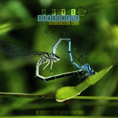 A.L.X.S - Dragonfly (Monu Remix)