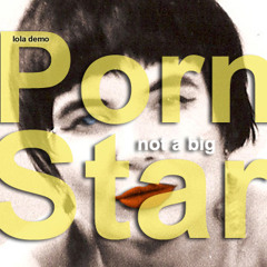 Not A Big Porn Star