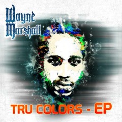 Wayne Marshall & Agent Sasco - Stupid Money (Riddim & Remix by Youngheart)
