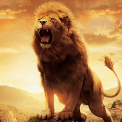 TragoRaciocinioClãn  part Wine _ Primeiro Trago