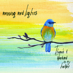 Artist Spotlight 2014