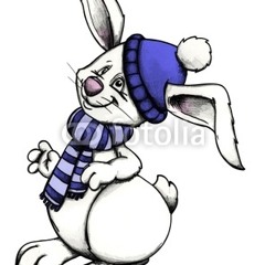 zuckersüsser Schneehase : Bettina Striegl