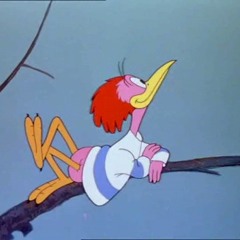 Redolfi - HAPPY BIRD DAY