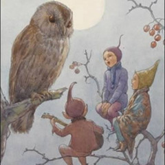 Tilden Park 12/12/13