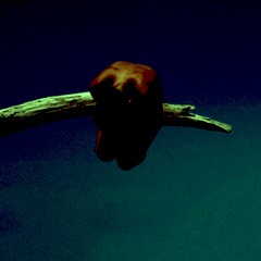 BEN DE LA TRILL X THE WEEKND