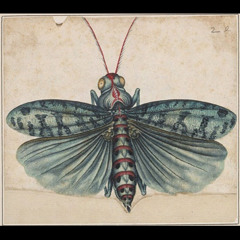 เทวานิทรา Sleeping Deva