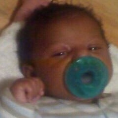 Family  (cWpP) (Che) KRIME Turns Wisdom Strugglen