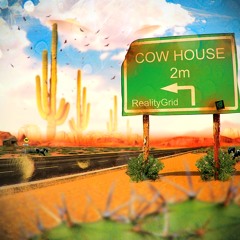 Reality Grid a.k.a EVP - Cow House 2013 (Full Album Mix)