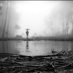 Zbigniew Preisner - Treason