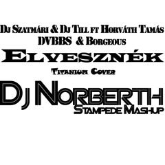 Dj Szatmári & Dj Till ft Horváth Tamás -Elvesznék (Titanium Cover & Dj Norberth Stampede Mashup)