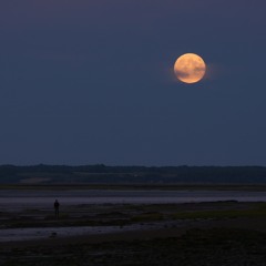 Fundy Full Moon(Original with Friends)