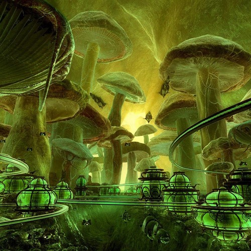 Pieces Live @ Psychedelic Galaxy