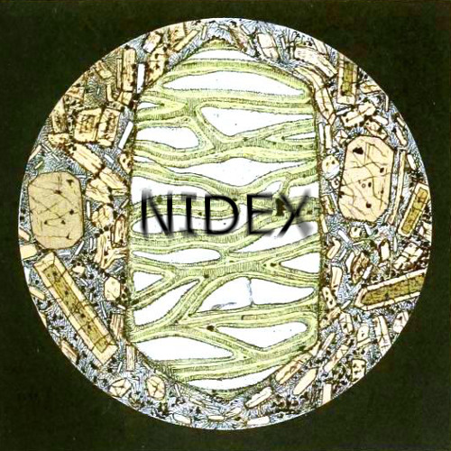 NIDEX