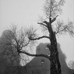 Shafiqa w Metwally - شفيقة ومتولي بصوت حفني أحمد حسن