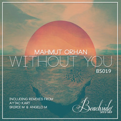 Mahmut Orhan - What You Need (Original Mix) Preview