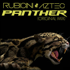 RUBICINI & AZTEC - PANTHER (PREVIEW) *OUT JANUARY 29*
