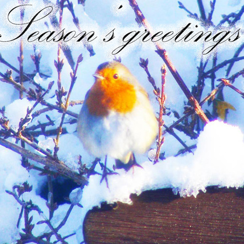 Universal (free download)