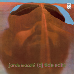 Let's Play That - Jards Macalé (dj Tide edit)