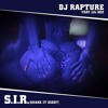 DJ Rapture Accordi