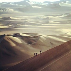 Desert Boogie - Sportes - Desert Rebel
