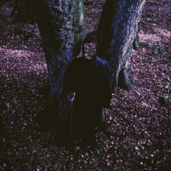 Metempsychosis I