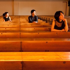 The Dissonances ／ みだれ (2013)