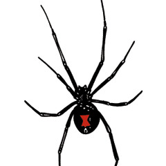 SPIDER BABY (1996) for orchestra